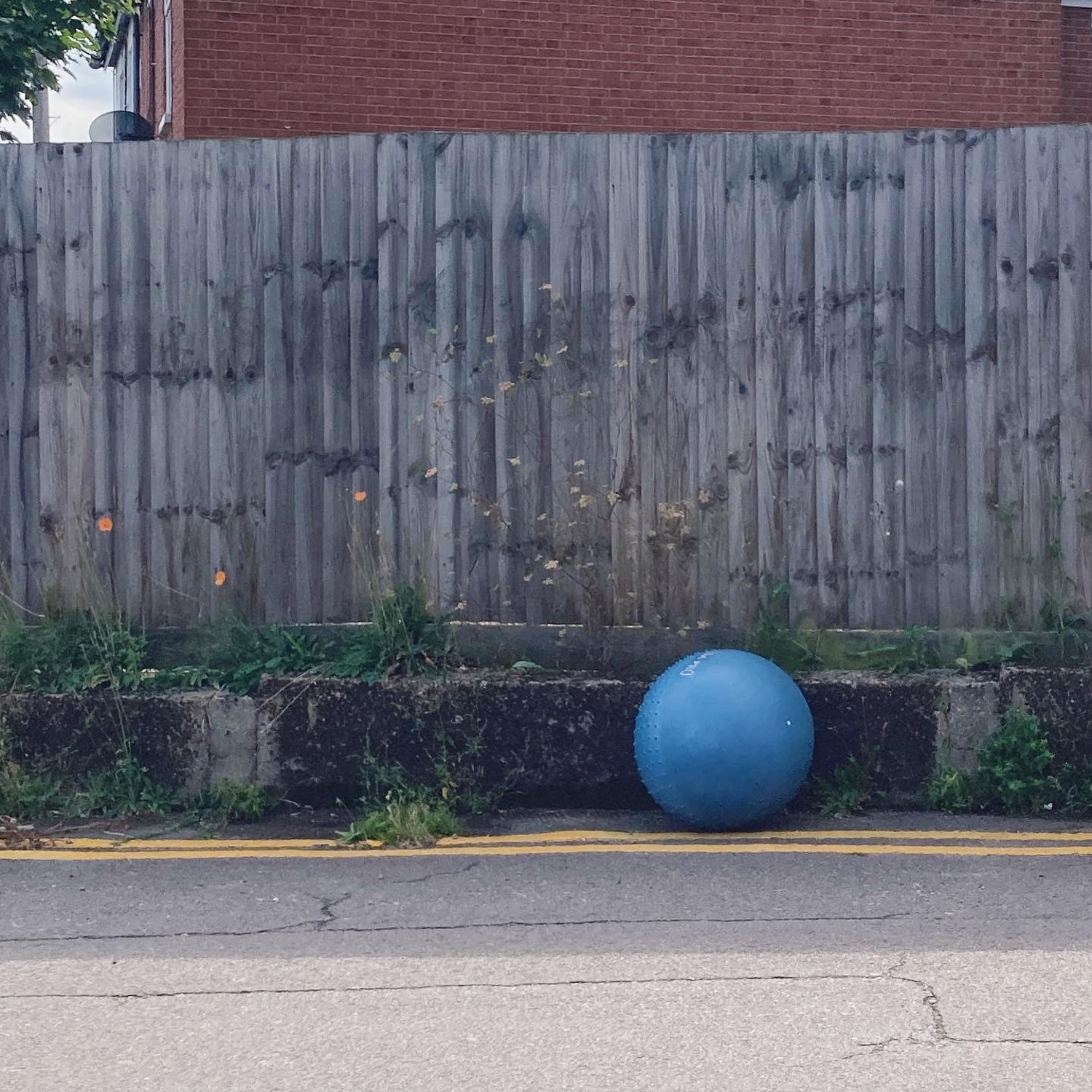 A strange thing to see at the side of the road. Photograph taken across a road with a large exercise ball resting against a wall with double yellow lines below and a wooden fence with wildflowers behind.