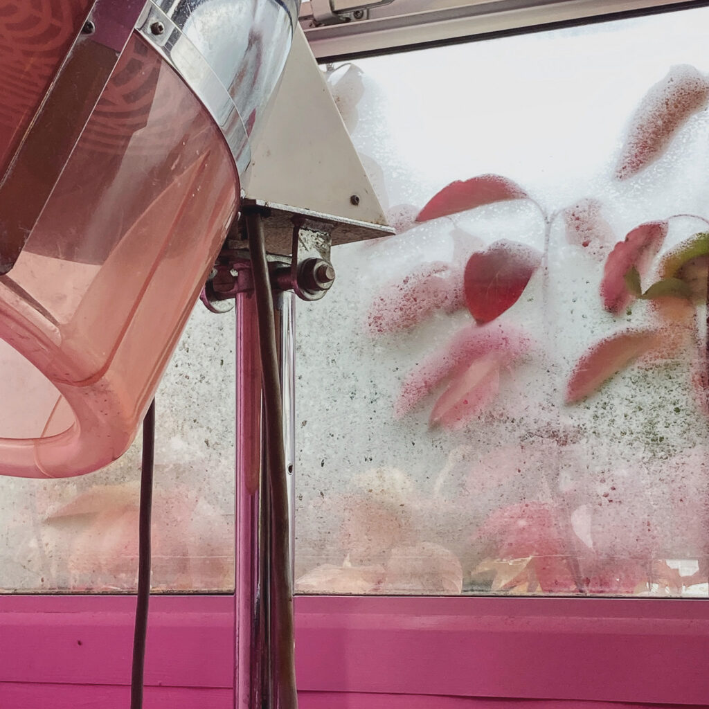 A steamed up window in a hairdresser’s salon, with pink leaves against the glass outside, a hood dryer to the left and a pink wall below