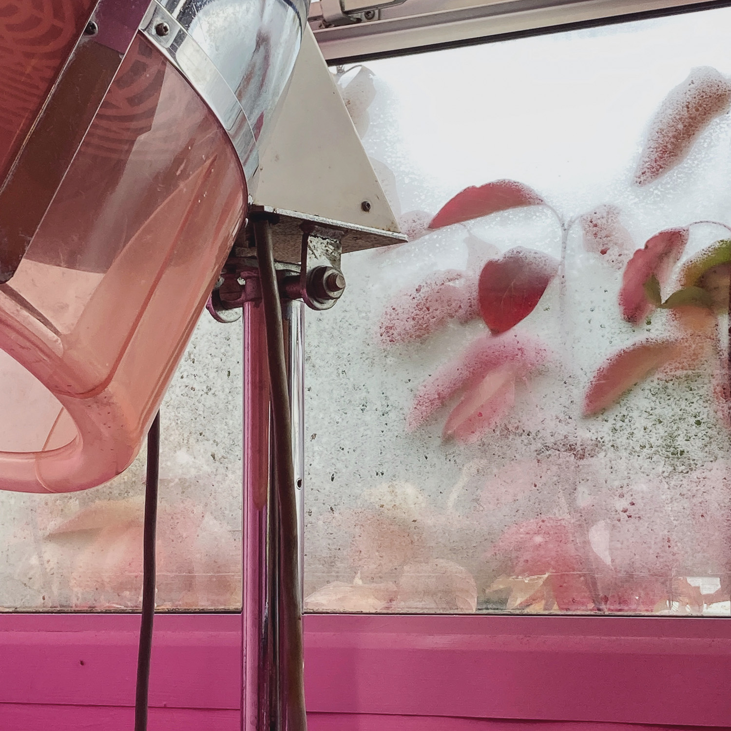 A soothing Saturday scene. A steamed up window in a hairdresser’s salon, with pink leaves against the glass outside, a hood dryer to the left and a pink wall below