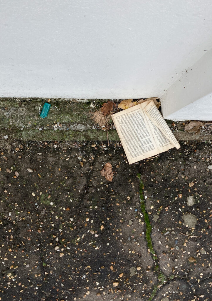 Photograph looking down at a book that's been dropped/blown at the side of a pavement, along with some dried leaves. A white wall is visible at the top of the frame, a broken green lighter to the left and the surface of the pavement below.