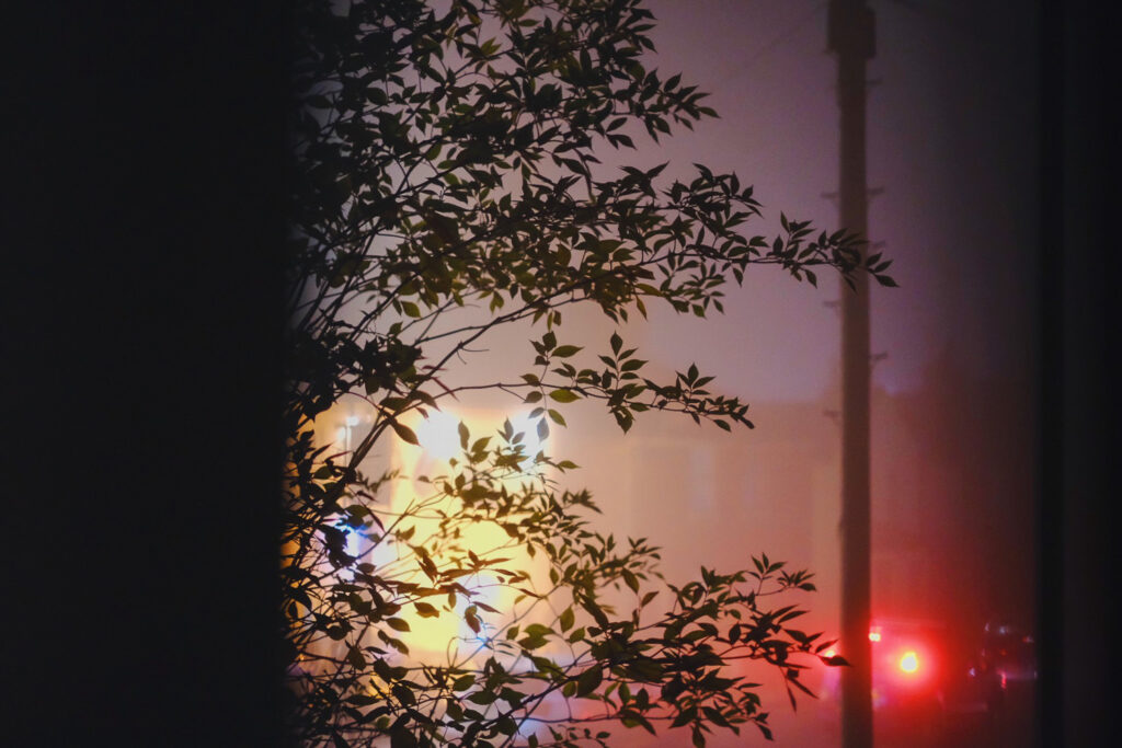 Photograph of a foggy street scene with a silhouette of a black pant in the centre, telegraph pole to the right and red brake lights of a car lower right