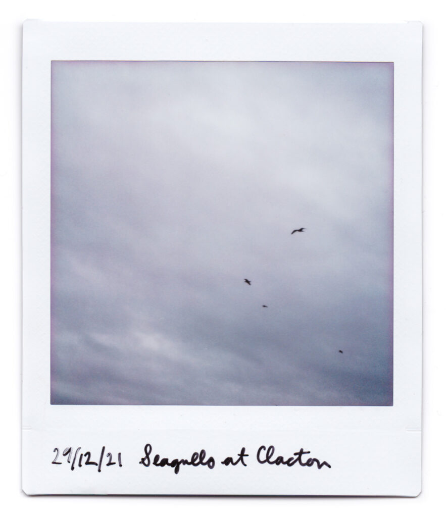 An Instax square instant photograph of a cloudy sky with four seagulls, and '29/12/21 Seagulls at Clacton' handwritten on the stip at the bottom.