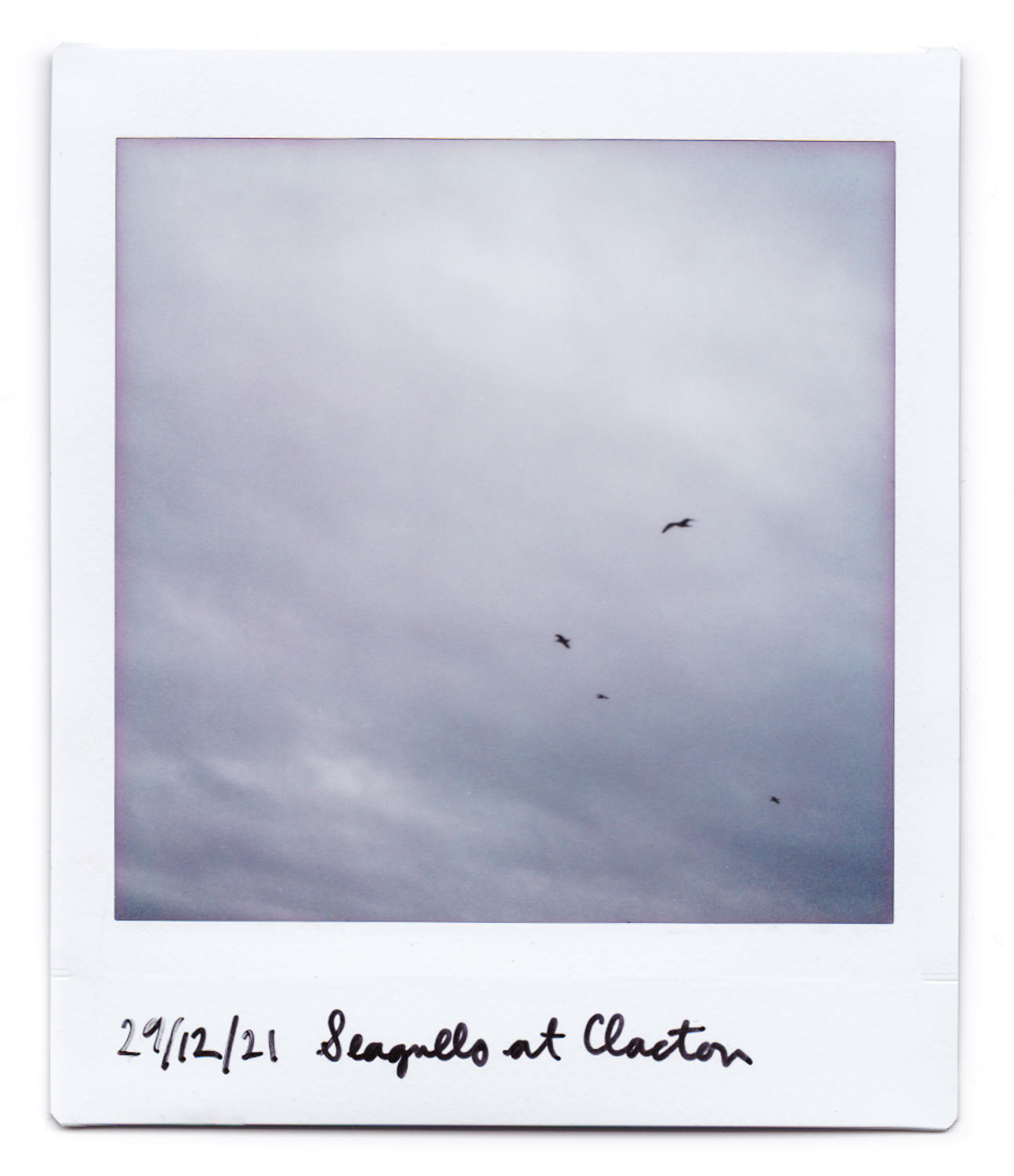 29/12/21 Seagulls at Clacton. An Instax square instant photograph of a cloudy sky with four seagulls, and '29/12/21 Seagulls at Clacton' handwritten on the stip at the bottom.