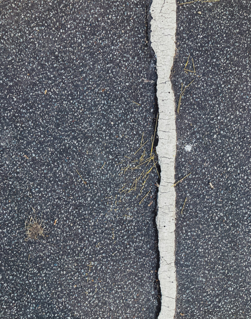 Photograph looking down at a cycle path with a painted white line towards the right of the frame and dray spaghetti lying across the path