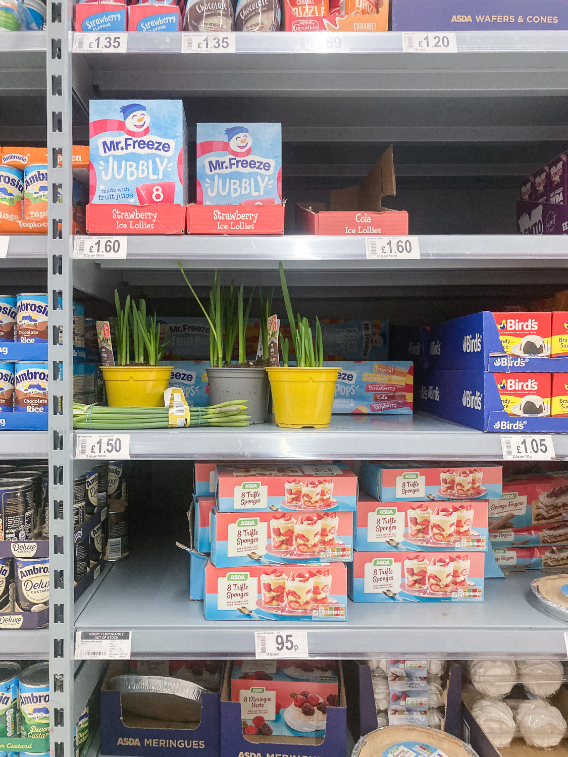 Puddings over flowers. Photograph of shelves in a supermarket selling ice pops, custaartd and trifle sponges, with three pots and one bunch of daffodils that appear to have been left there randomly.