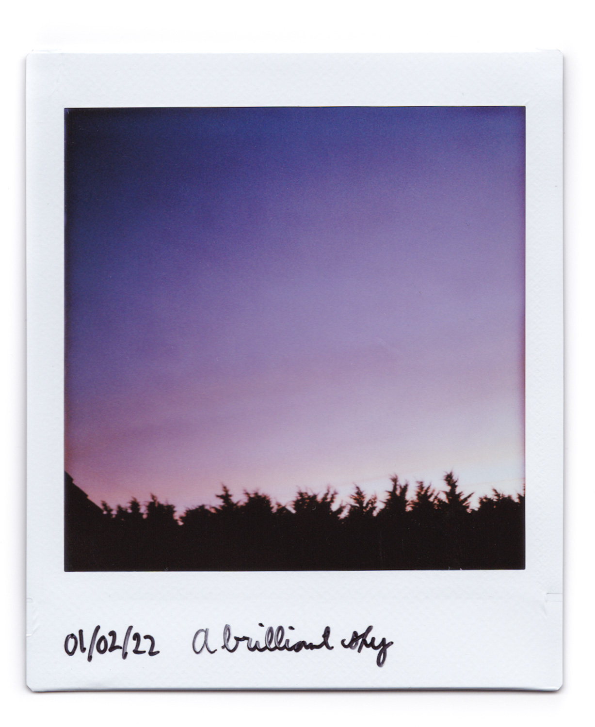 01/02/22 A brilliant sky. Instax square instant photograph of a purpley sky with a line of trees silhouetted at the bottom and '01/02/22 A brilliant sky' handwritten below.