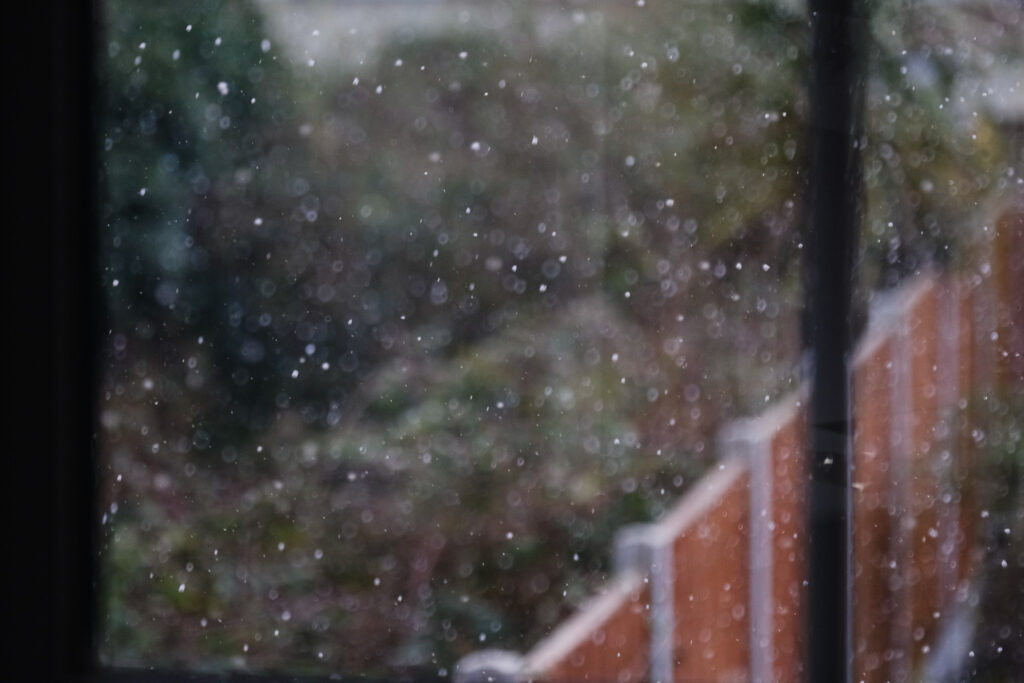 Photograph of snowflakes falling, with the window frame visible to to the left and right, plants behind and a wooden fence running from the centre to right of the frame.