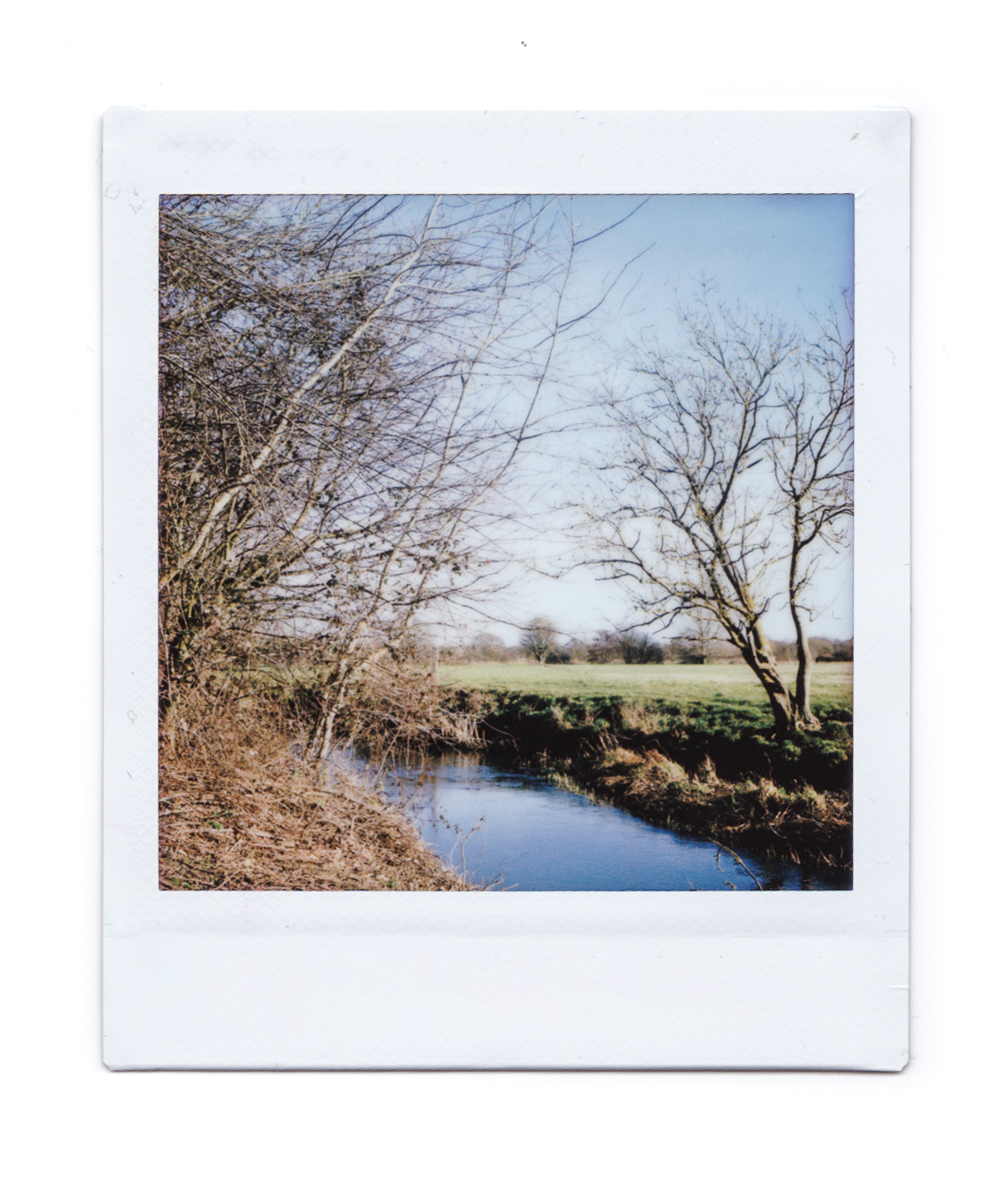 A different view on a walk I've donn many times before. Photograph of an Instax Square print showing a river with wintry trees either side, a field in the distance and pale blue sky above.