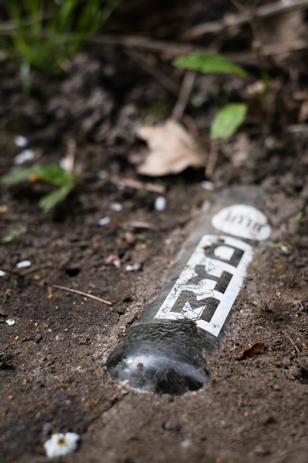 Future history. Photograph of an empty WKD Blue bottle partially buried in the ground, with leaves out of focus on the floor in the background.