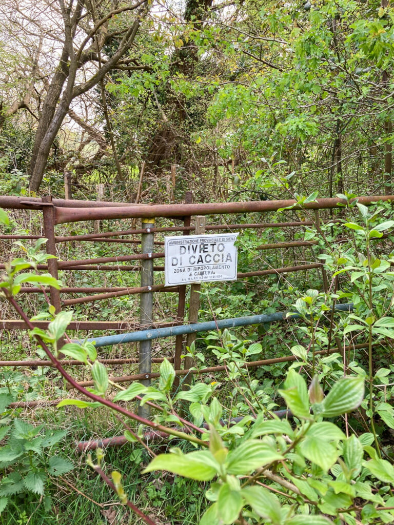 Photograph of a sign in Italian on an old iron fence, in an area filled with trees and plants. 'Divieto di Caccia' is visible'