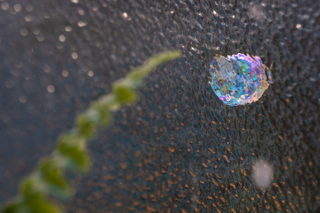 Macro photograph of a colourful bubble on a window outside, viewed through textured glass inside. An out of focus fern leaf is to the left of the frame.