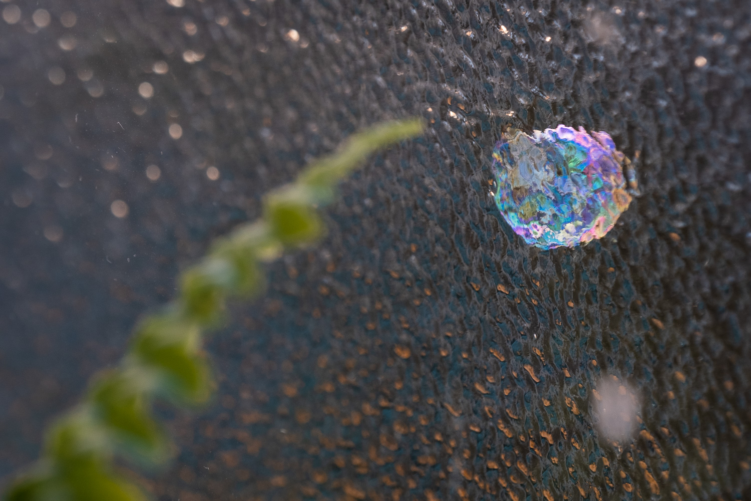 Something mysterious - inside. Macro photograph of a colourful bubble on a window outside, viewed through textured glass inside. An out of focus fern leaf is to the left of the frame.