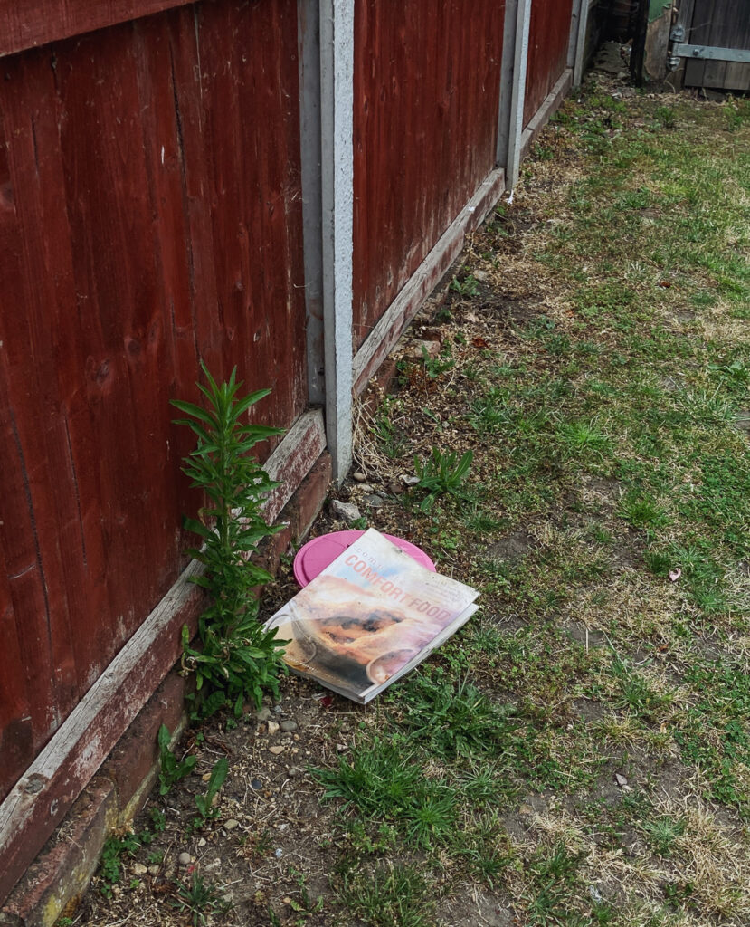 Photograph of a grassey area with a fence and large weed to the left, and a recipe book titled 'COMFORT FOOD' on the floor towards the centre.