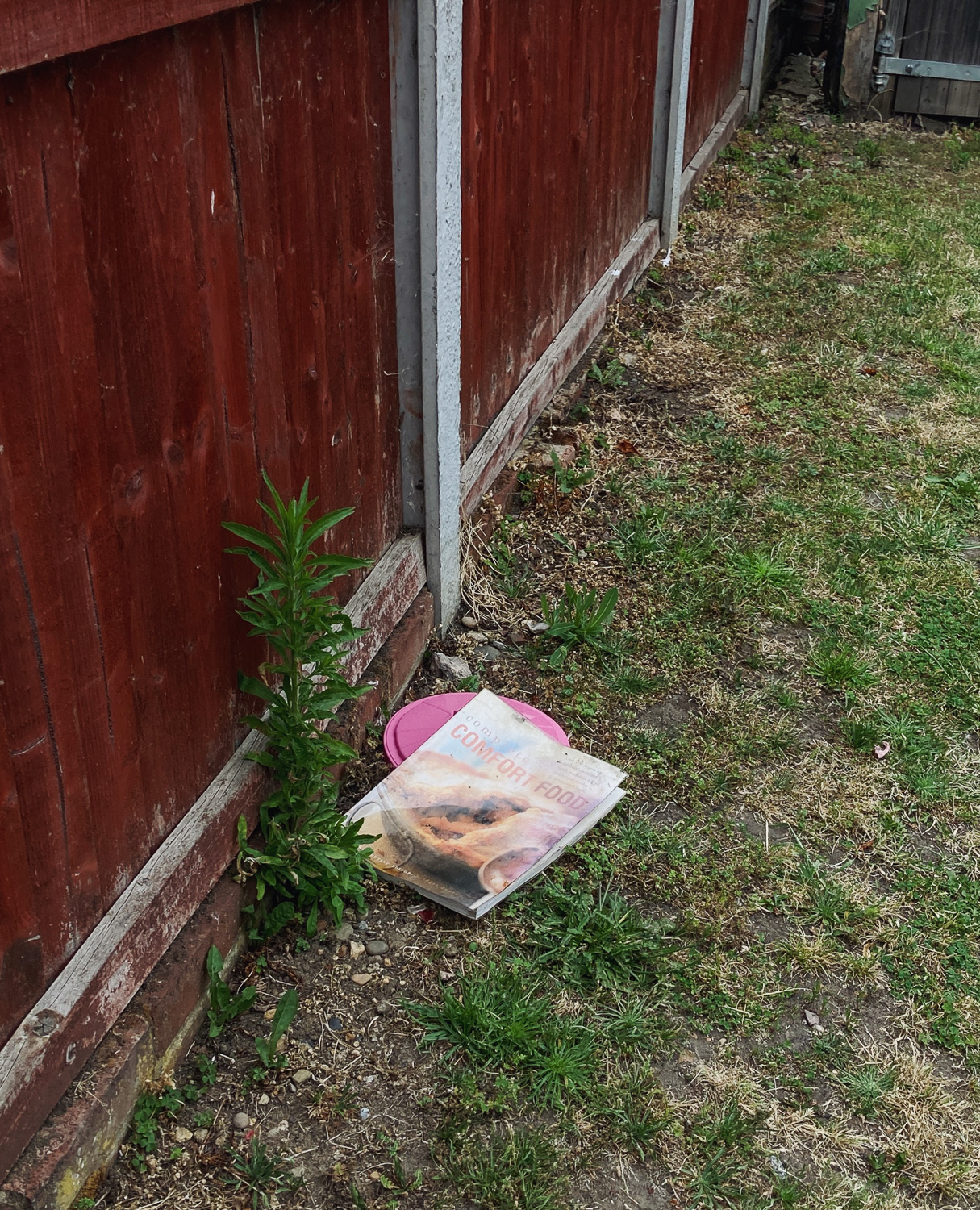 Comfort Food. Photograph of a grassey area with a fence and large weed to the left, and a recipe book titled 'COMFORT FOOD' on the floor towards the centre.
