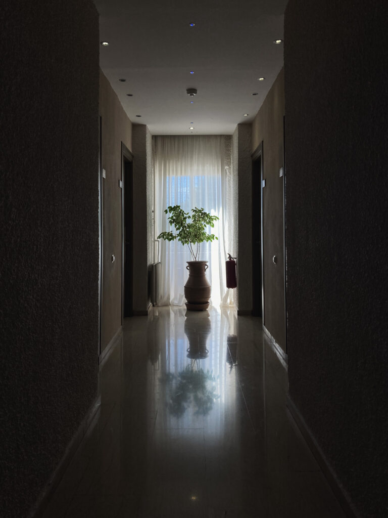 Photograph of a corridor in a hotel with a plant in a pot in front of a window.