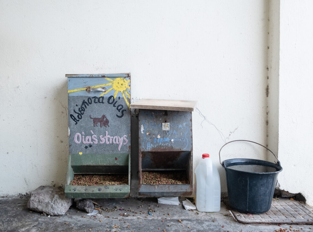 Photograph of containers holding cat food, decorated with paintings and the words 'Oia's Strays', with a bottle of clear liquid and a bucket full of water to the right, all against a plain wall.