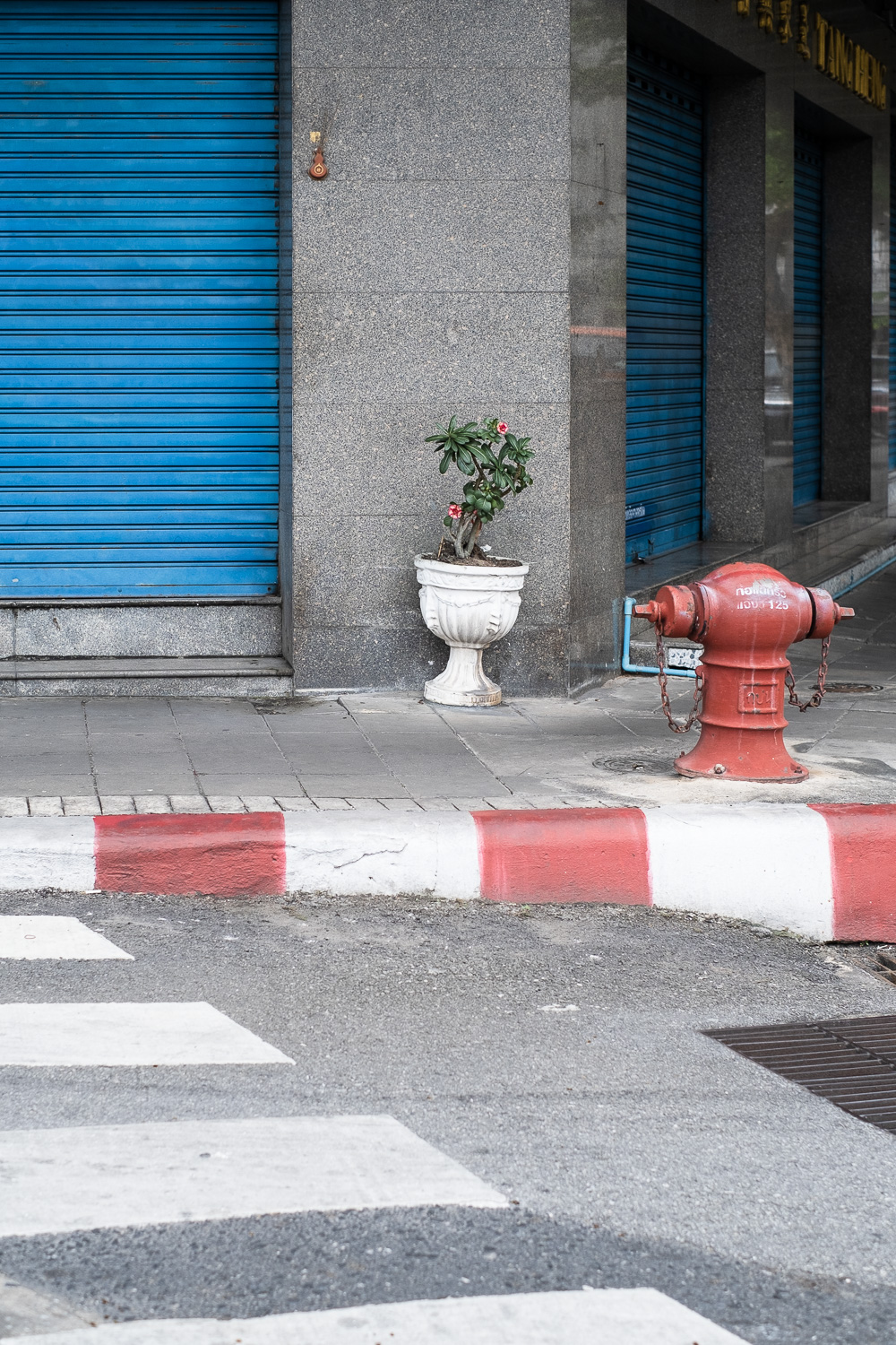 Photograph of a pavement with a blue shuttered door to the left, plant with pink flowers in a white planter in the centre, red fire hydrant to the right, red and white stripes painted on the curb and painted white lines of a pedestrian crossing in the foreground.