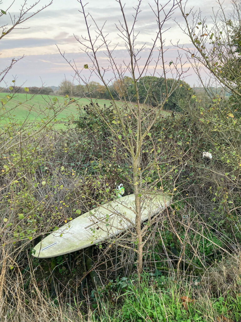 Photograph of a mildewy surfboard in a hedge at the edge of a field in Essex, with a tree in front and the field, trees and sky visible in the background.