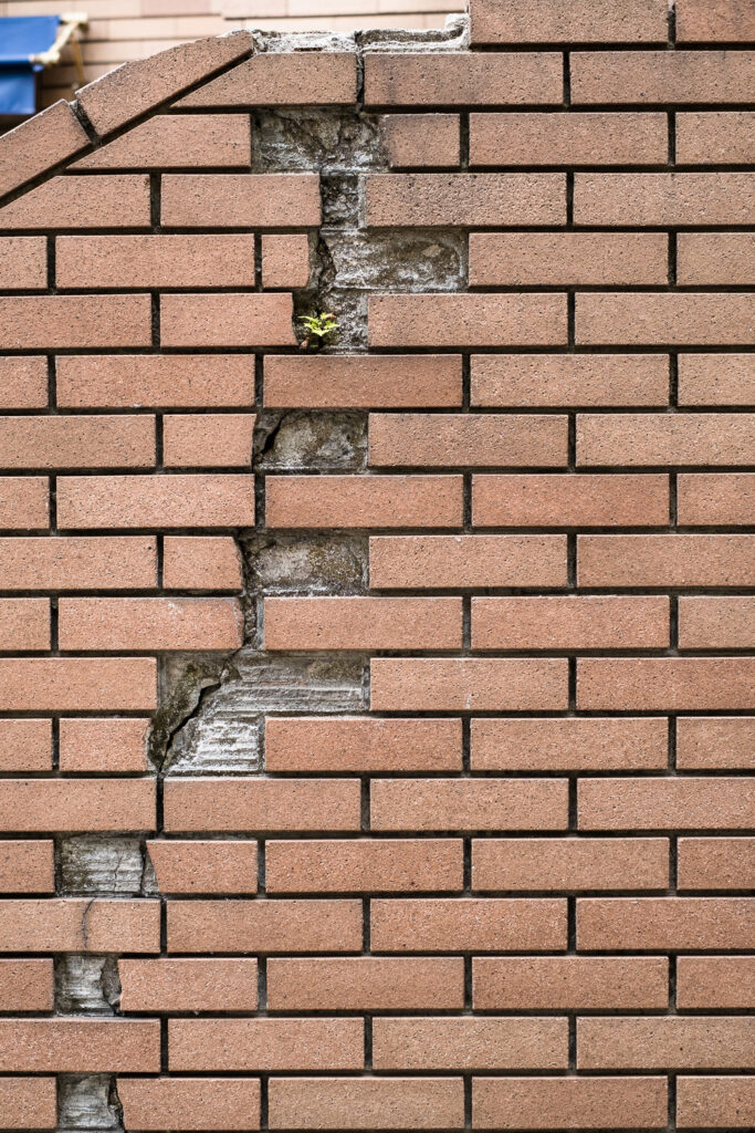 Photograph of a brick wall with a large crack and missing bricks to the left and a small plant peeking out near the top.