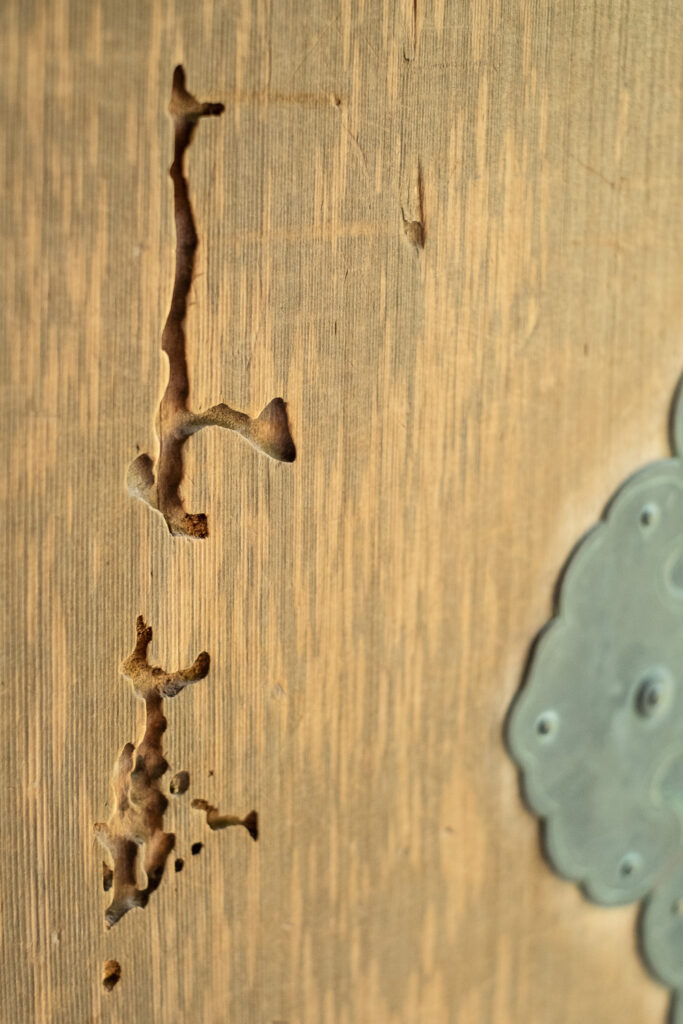 Photograph showing a detail of a wooden door with areas eaten by woodworm to the left and a small portion of metal handle to the right.