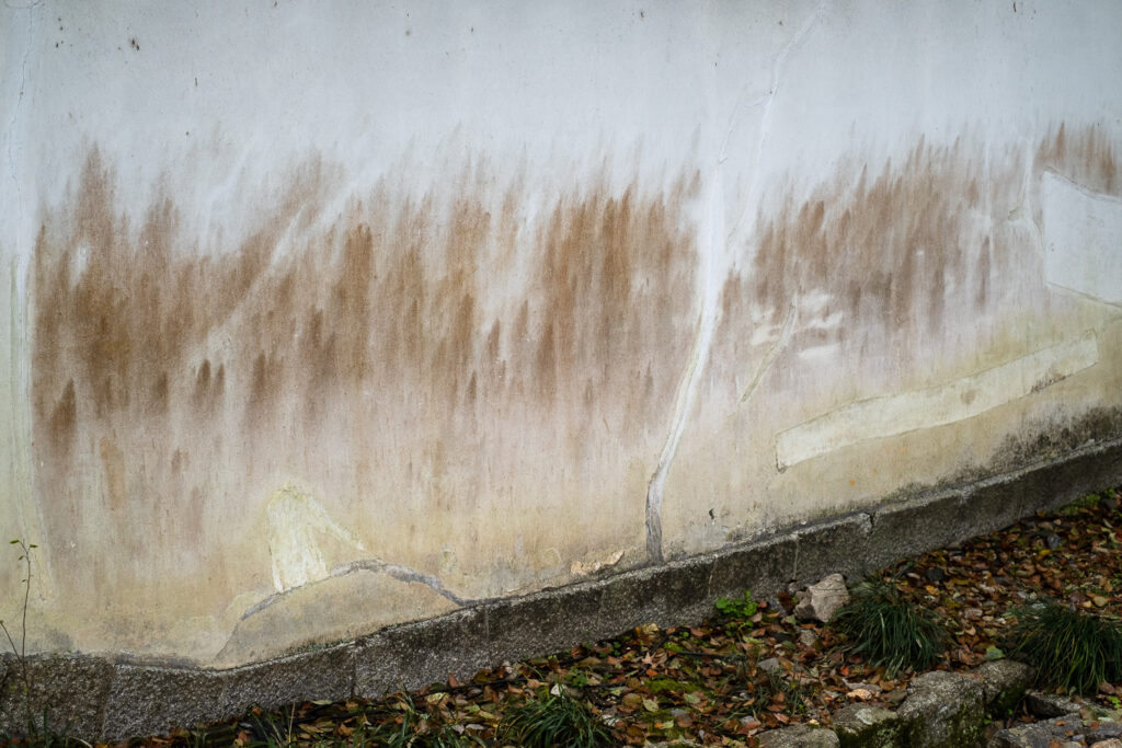 Photograph of a wall with mildew/markings that resemble screens painted with an image of forests. There is a filled-in crack in the centre and a bit of grass to the lower left.