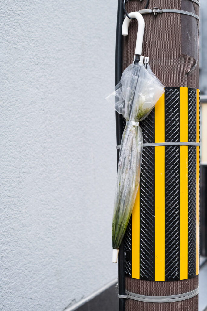 Photograph of a clear umbrella hooked onto a pole (which is brown with yellow and black stripes on it). The umbrella has filled with water that has gone mouldy. A white painted wall is visible behind and to the left.