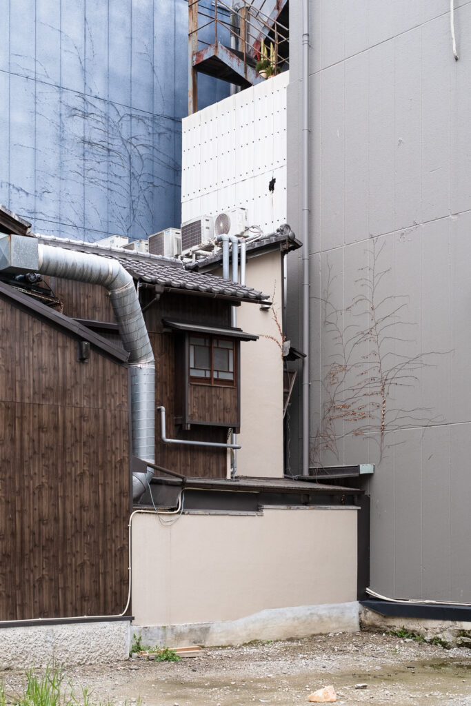 Photograph of edges of buildings with remnants of ivy growing on walls in a way that looks like drawings of trees. In the centre of the image is a more traditional looking Japanese building with a protruding window and some metal pipes.