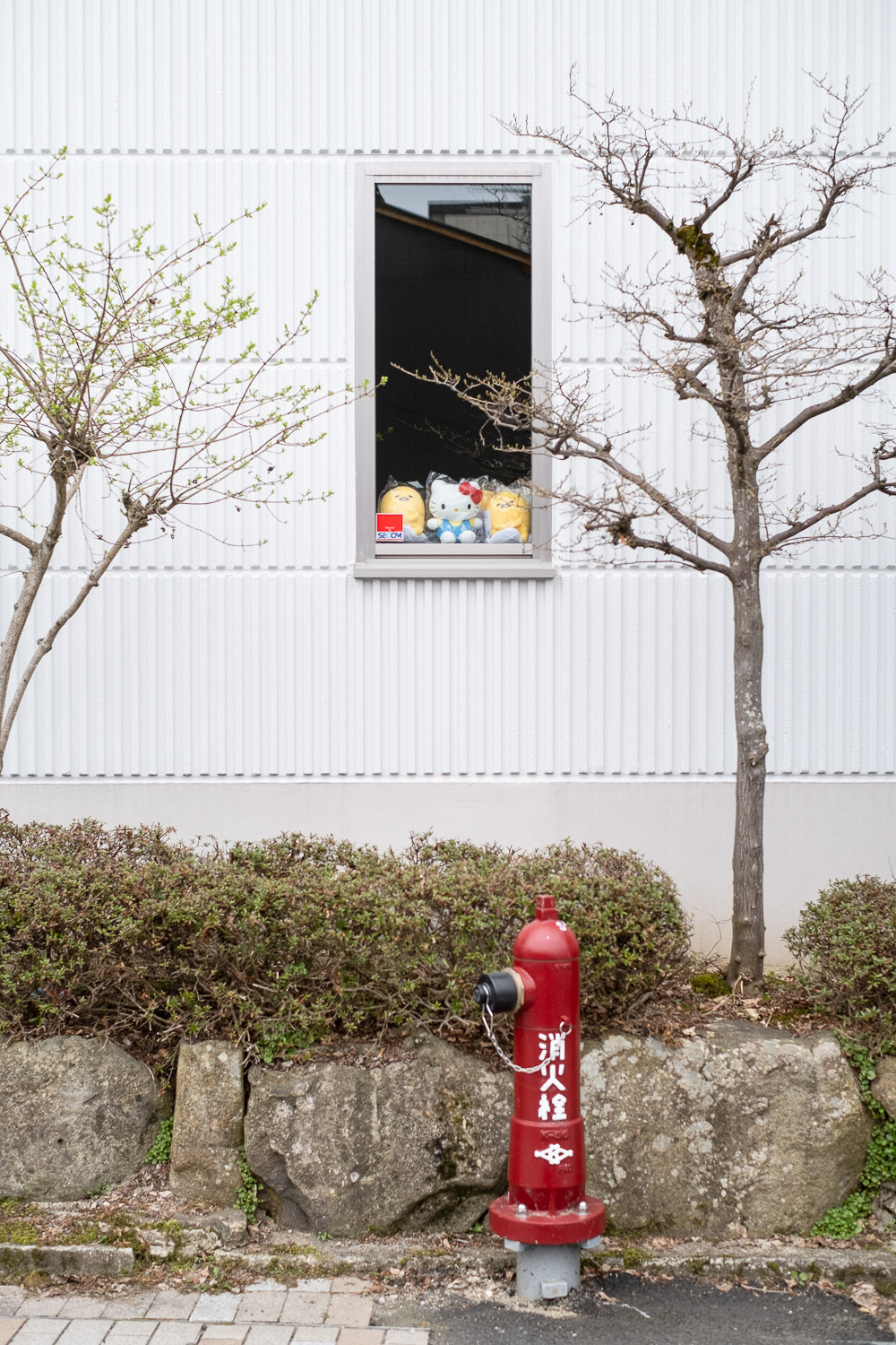 Photograph of the side of a building with trees, hedge and large rocks in the border in front, and a red fire hydrant in front of that. A window in the wall has toys in clear plastic bags sitting in it, including a Hello Kitty plushy.