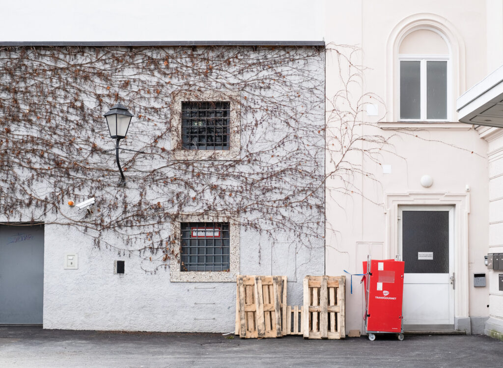 Photograph of a grey wall with a climbing plant with brown leaves in winter with an old fashioned lantern and two barred windows to the left, a peach wall with arched window and door to the right, wooden palettes leaning against them and a cage/trolley with red plastic sides by the door.