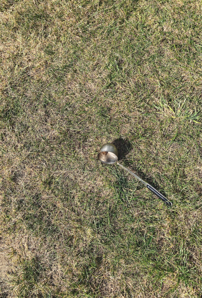 Photograph of a metal ladel on a patch of grass.