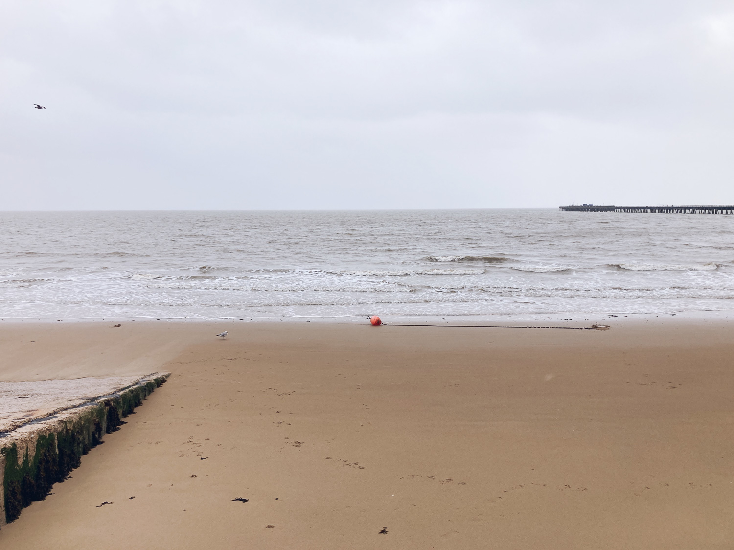 Photograph of the seafront at Walton on the Naze, with wet sand in the foreground, a concrete slope to the left, a buoy on a chain in front of the rough sea, a seagull in the cloudy to the left and te pier visible in the distance to the right.