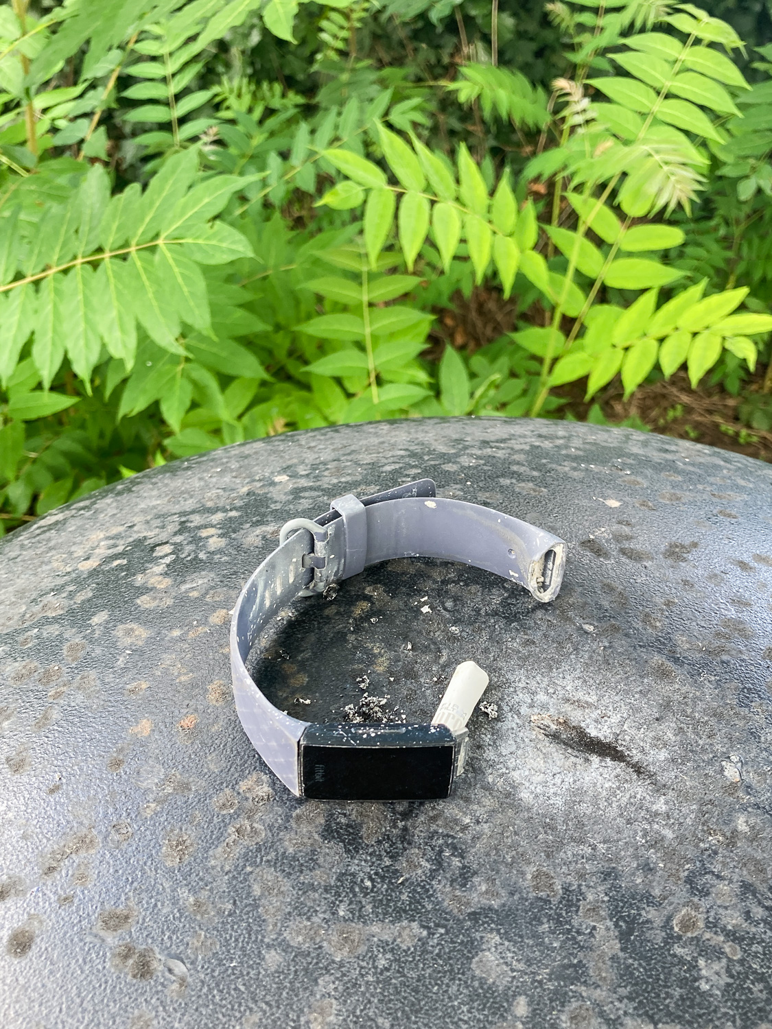 Photograph of a broken fitness tracker watch on top of a bin (marked where people have extinguished cigarettes), with foliage in the background.
