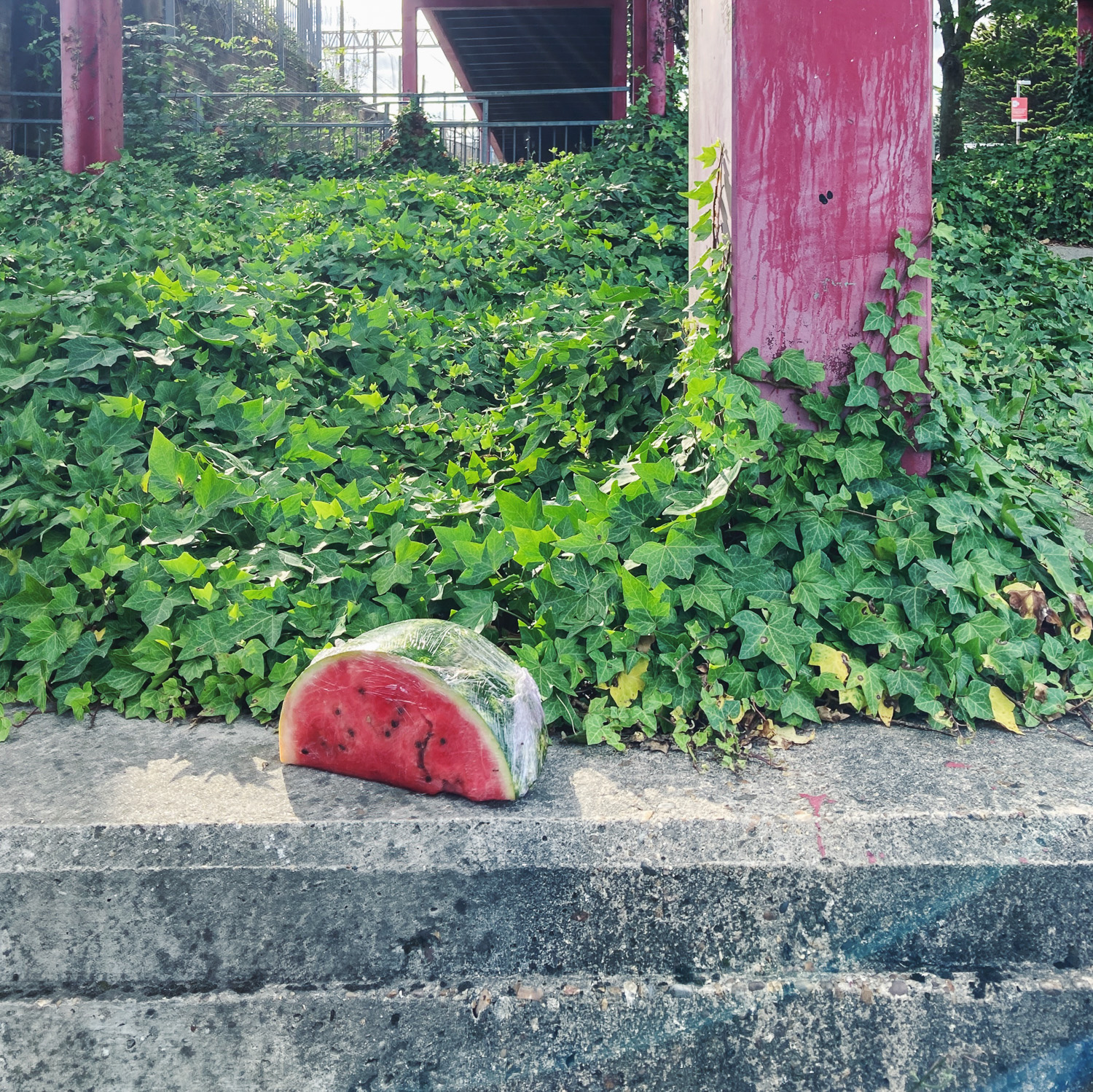 Photograph of a quarter of a watermelon wrapped in cling film, left on a concrete wall with ivy and reddish pillars behind.