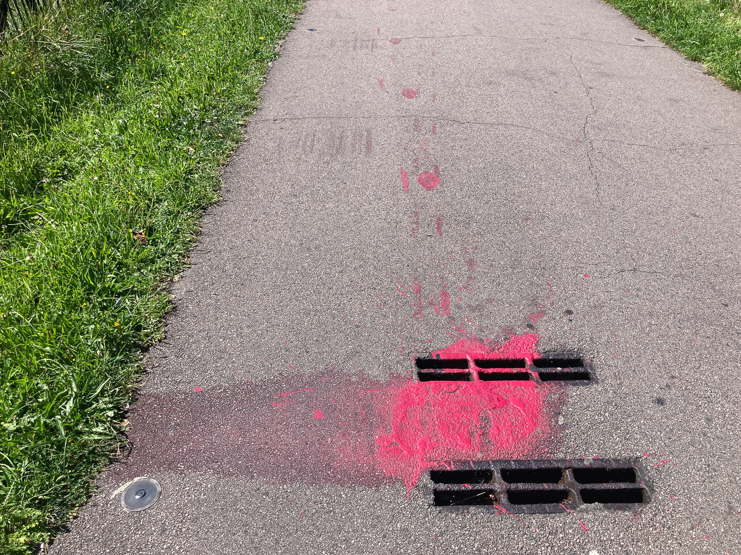 Photograph of a tarmac path with lawn either side, with bright pink liquid/paint spilt on two small grates in the foreground.