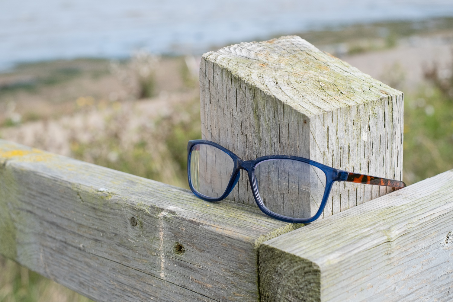 Lost glasses on a fence, The Naze, Walton-on-the-Naze, Essex