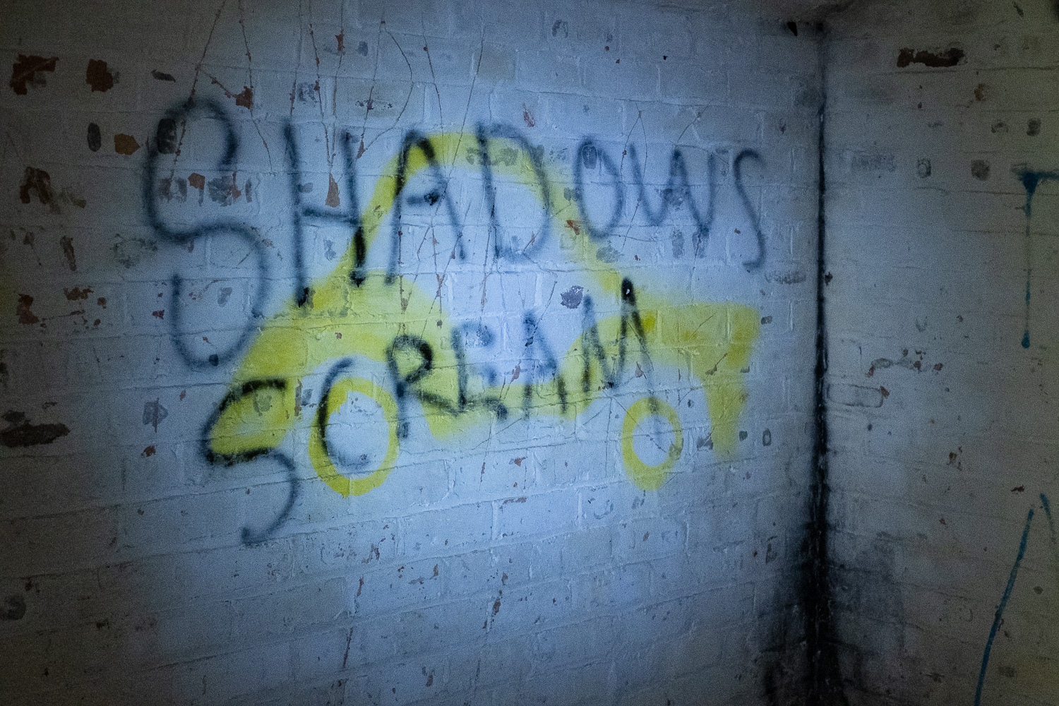 Photograph of grafitti saying 'SHADOWS SCREAM' on a whitewashed brick wall, lit by a torch, Harwich, Essex, UK