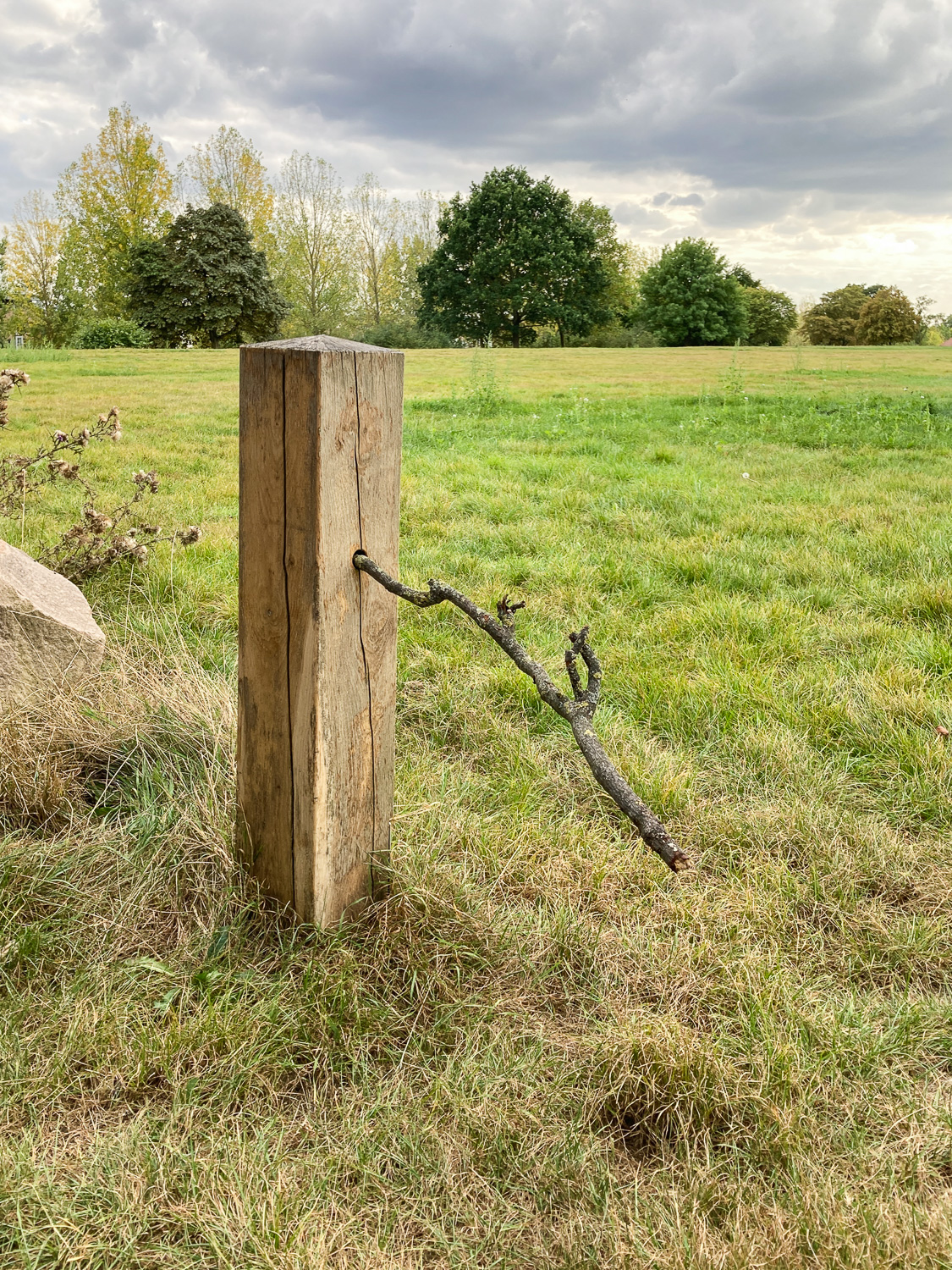 Photograph of a wooden post with a branch/large stick poked into a hole, with field, trees and cloudy sky behind.