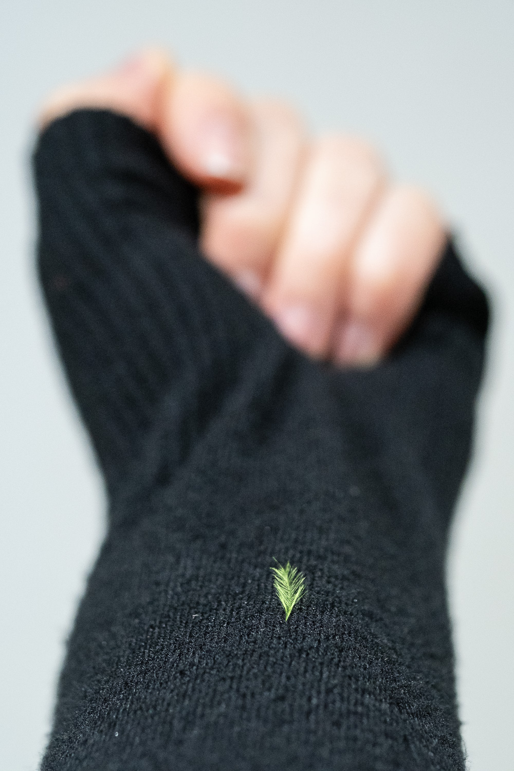 Photograph of a tiny lime green feather on a black woolen sleeve, with a hand in a fist holding the end of the sleeve out of focus behind.