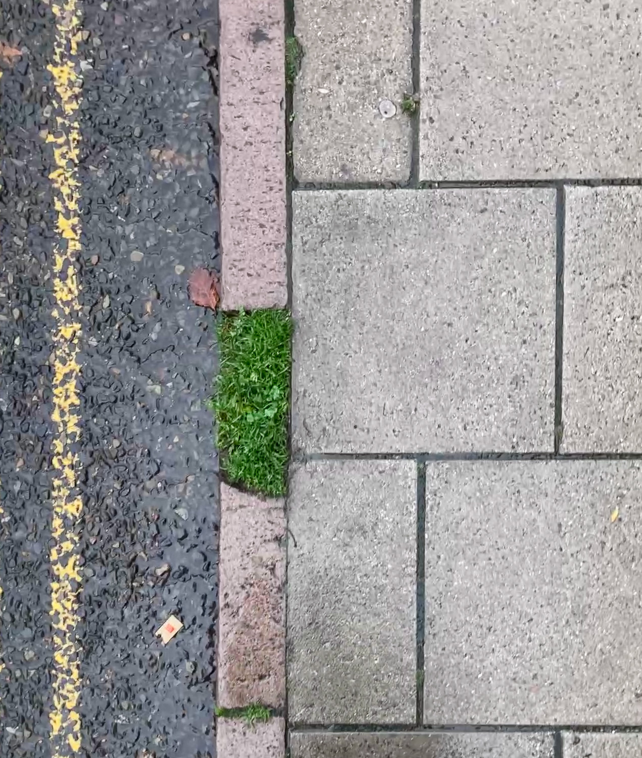 Photograph looking down at the ground, the curb to the centre left of the frame has a piece missing and has been filled with grass. To the left is the road with a yellow painted line and to the right is a paved pavement.
