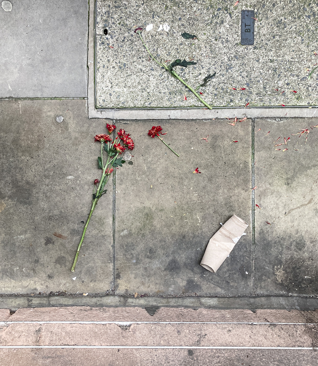 Photograph looking down on a pavement upon which red cut flowers are lying discarded to the left and a toilet roll is to the right.