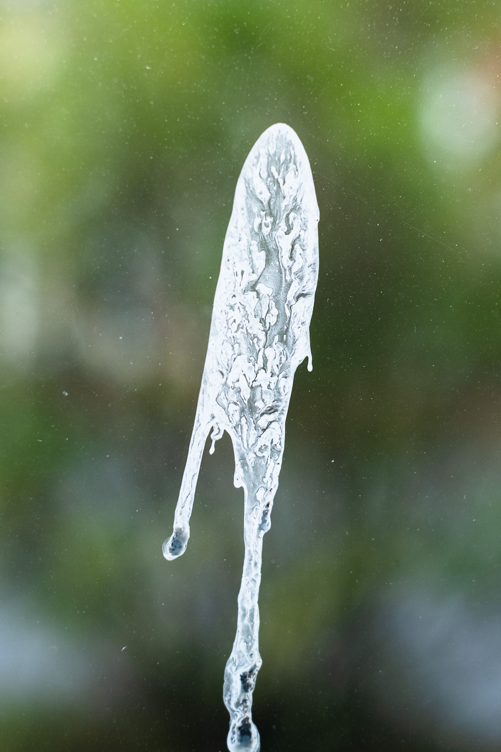 Photograph of a white splatter of bird poo on a window, with a blurry green plant in the background.