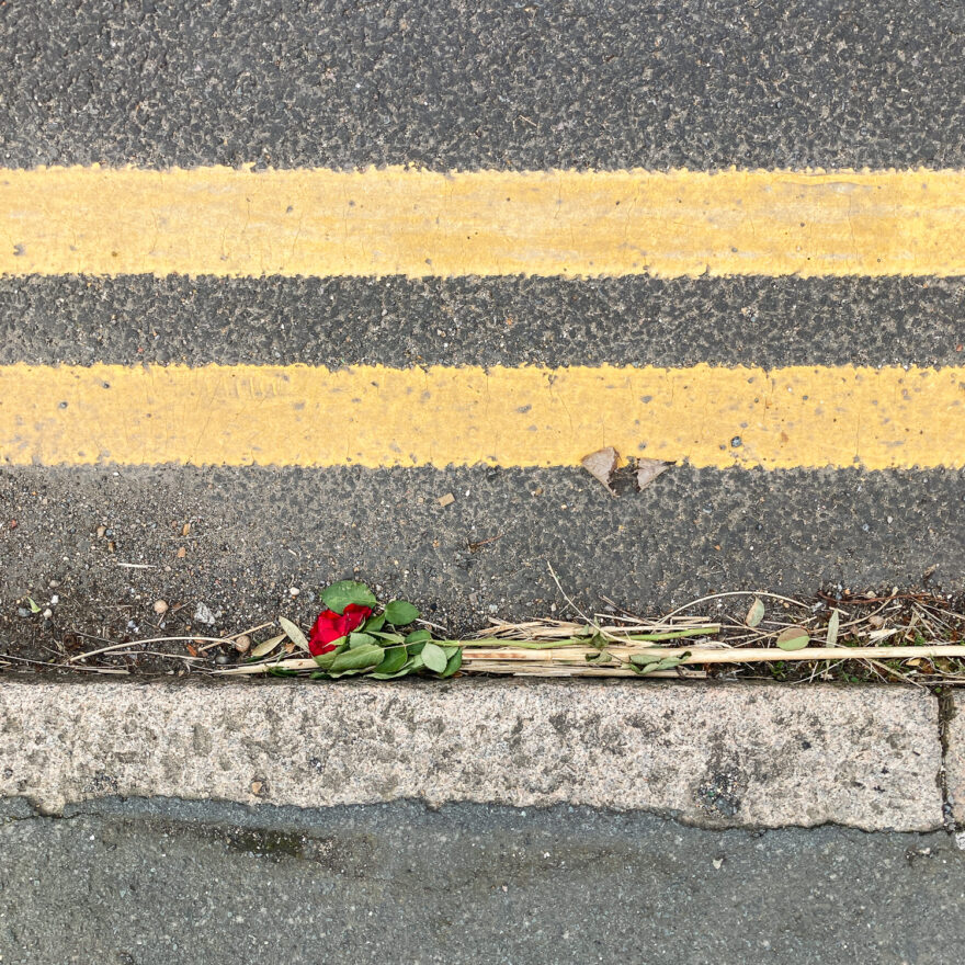 Photograph looking down at the curb at the side of a road, with pavement at the lower part of the frame, a single red rose above that, and double yellow painted lines above.