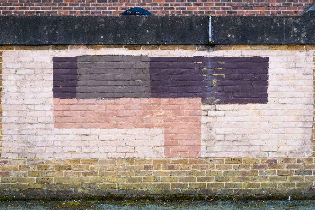 Photograph of a brick wall with rectangles of paint over the top in pale pink, peachy pink and purple, with a band of felted roof at the top and moss and weeds along the ground at the bottom.