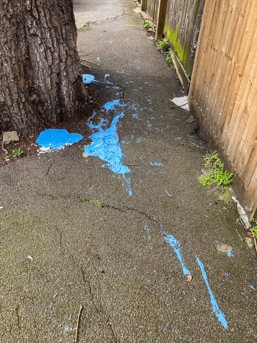 Photograph of a tarmacced pavement with blue paint spilt across it, with a section of tree trunk to the upper left and wooden fencing to the top right of the frame.