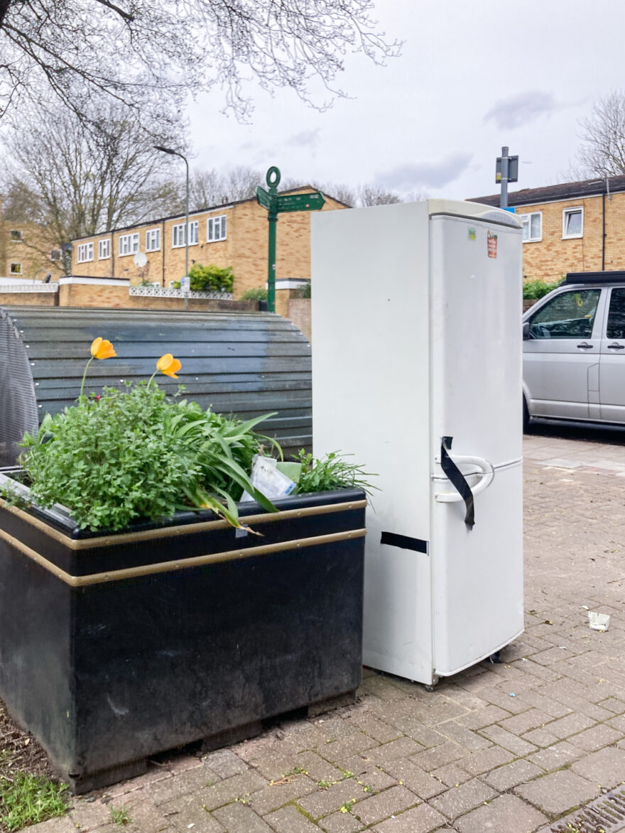 Photograph of a white fridge freezer on a pavement, with a black planter to the left that has plants and yellow tulips in it. The pavement below is paved with bricks and there are houses, a bike shelter and part of a van visible behind.