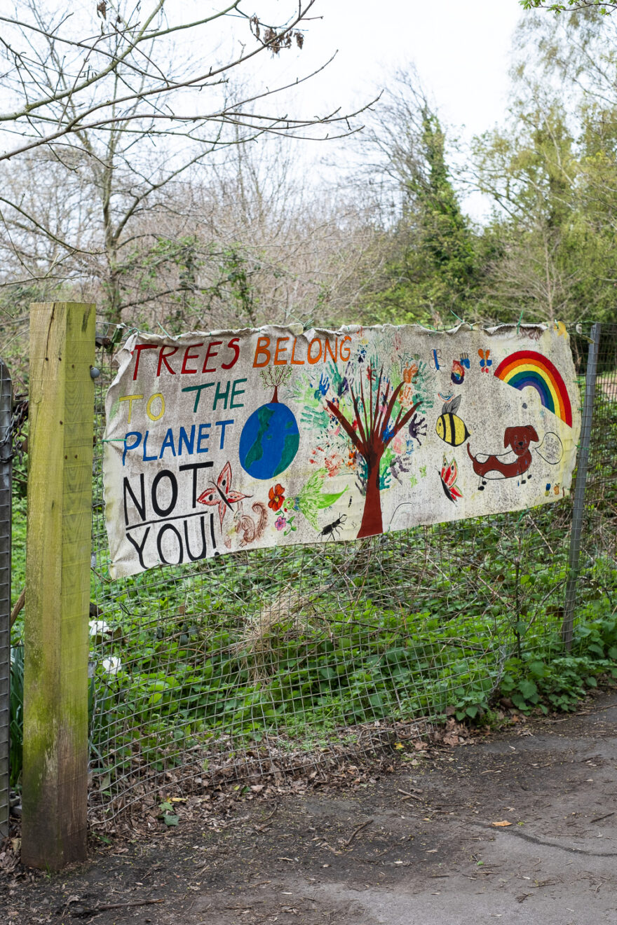 Photograph of a wire fence with a handmade sign saying 'Trees belong to the planet not you' with children's paintings of a tree, the planet, a bee, a dog and a rainbow on it, and a large wooden post to the left. Behind is an area with plants and trees and there is a paved area in front.