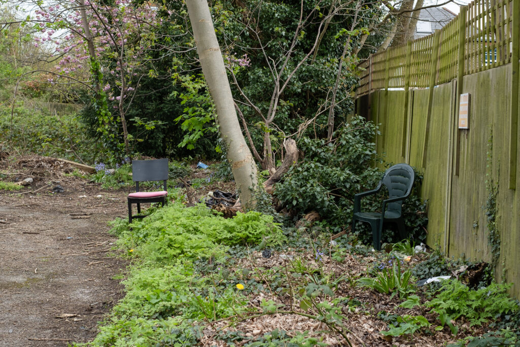 Photograph of an area of wild plants and trees, with green-tinged wooden fencing to the rigth and tarmace to the left. To the left of centre is a black wooden chair with a red seat and to the right of centre is a dark green plastic garden chair.