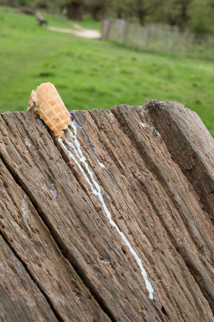 Photograph of a section of old wood with a piece of waffle icecream cone on the top left, with pale green melted icecream trickling down and to the right. Behind is a grassy field and a blurry section of fencing with trees and plants behind.