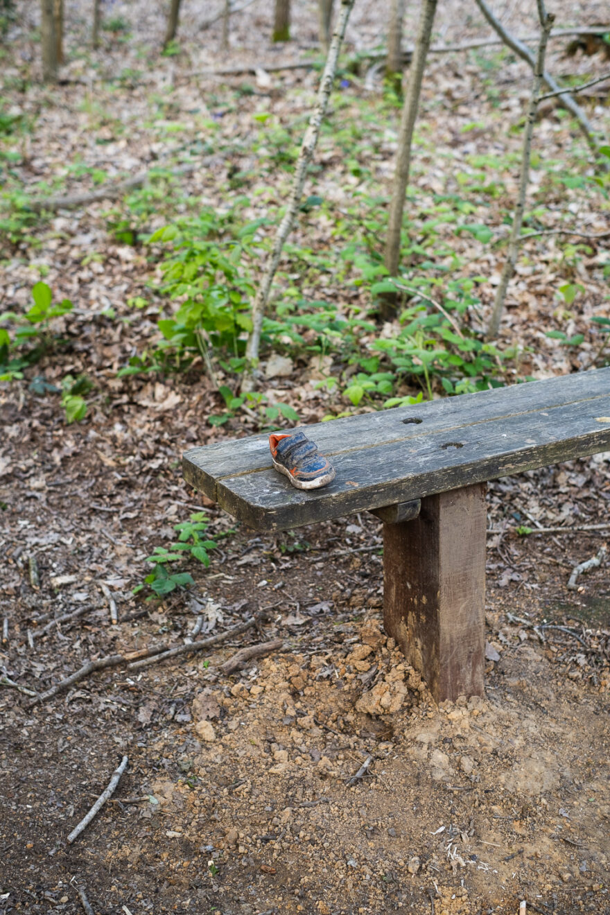 Photograph of a lost child's shoe on a wooden bench in a country park, with soil ground below and plants and trees behind.