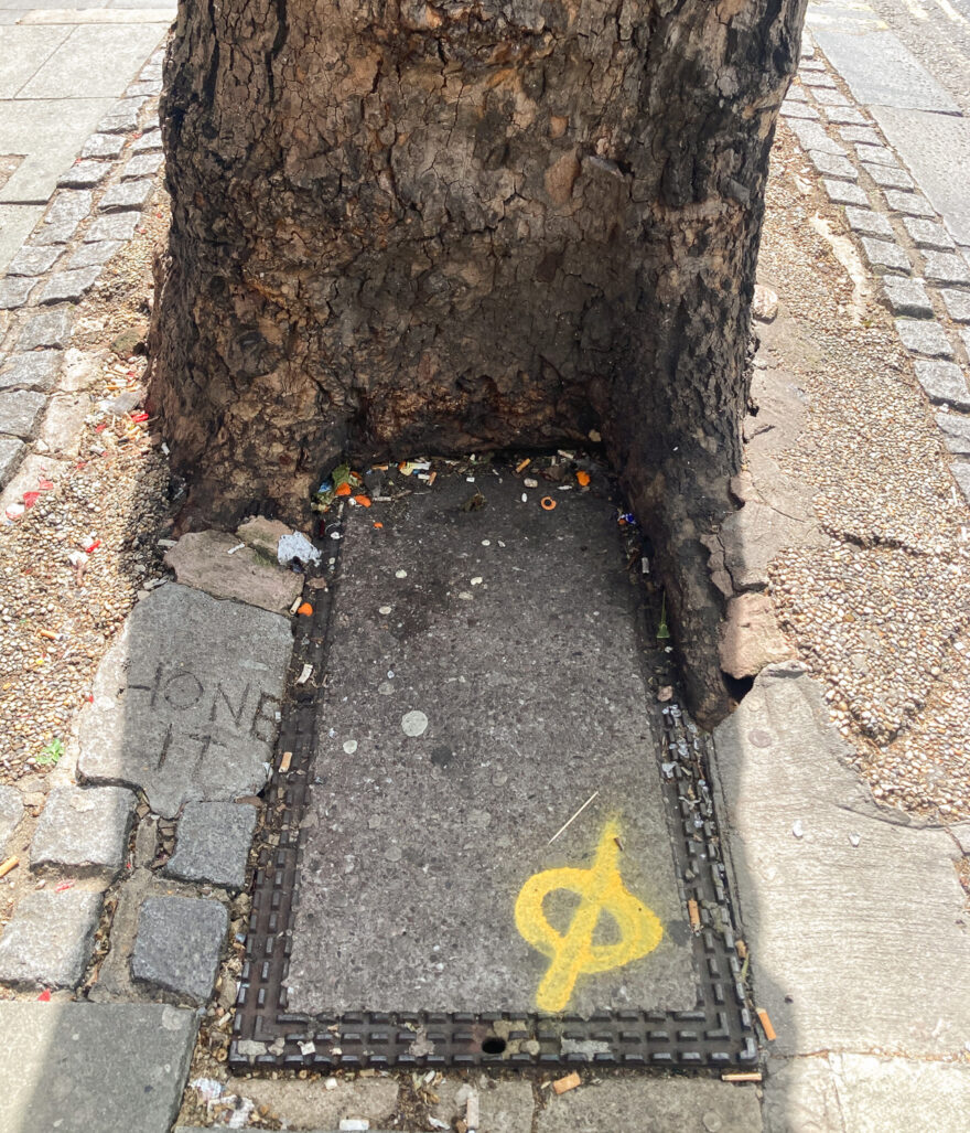 Photograph of a utility cover in a pavement with cobbles and paved areas and a yellow spray painted marking on it. At the back of the cover a wide tree is growing out of the ground, shaped around the rectangular cover. 'HONE IT' is written in a portion of cement to the left.